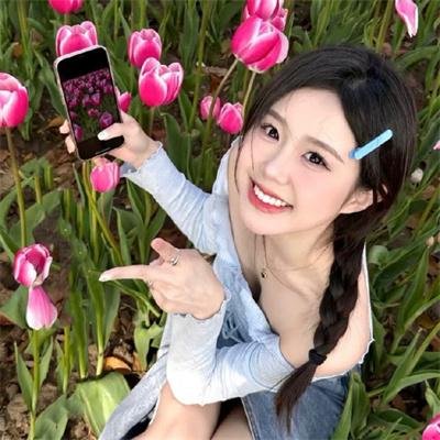 企鹅之岛:福克兰